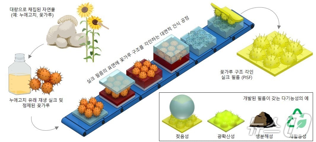 금오공대 박준용 교수팀 생분해성 필름 개념도/뉴스1