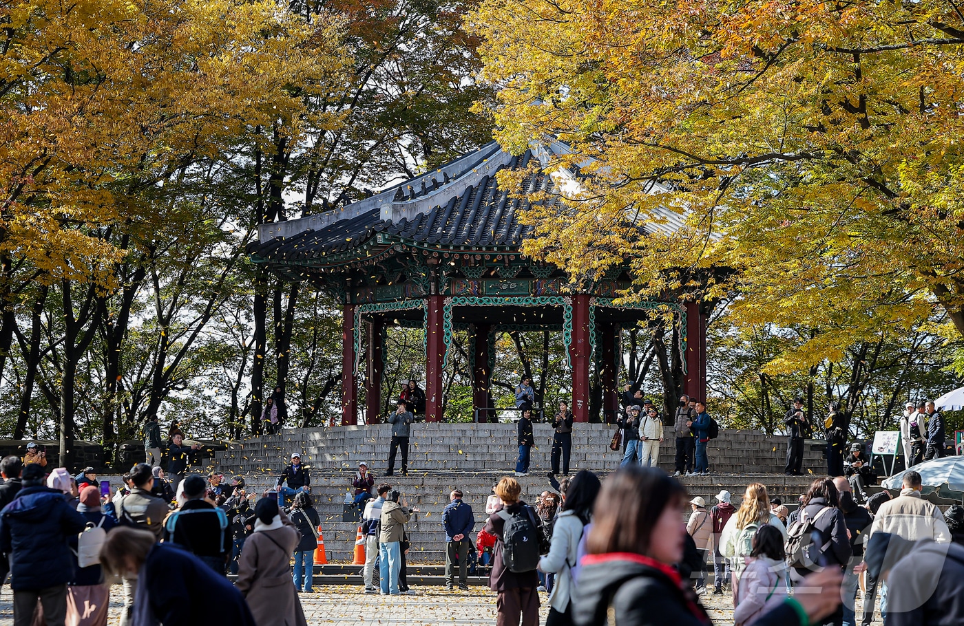 자료사진/뉴스1 ⓒ News1 김진환 기자