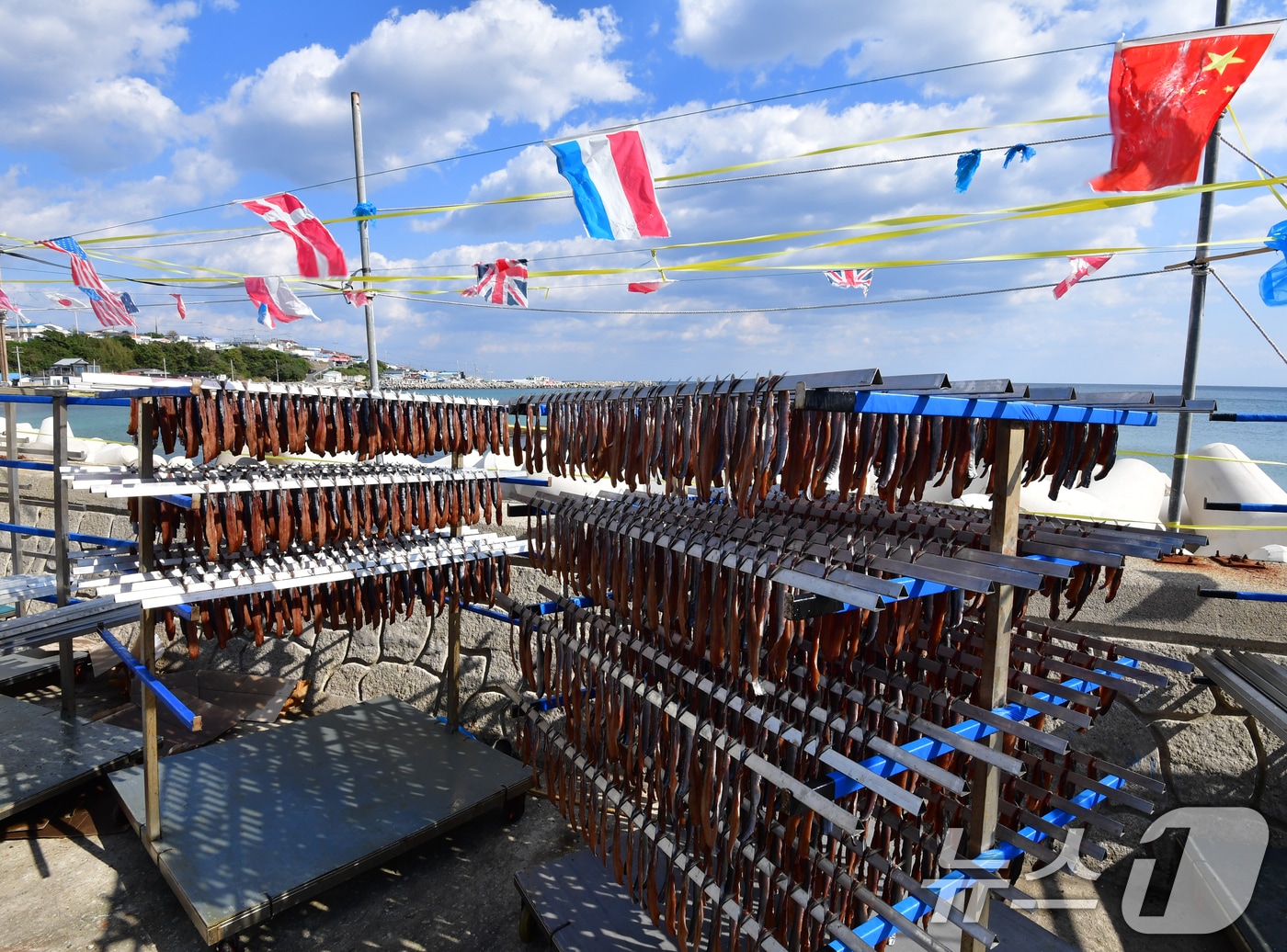 3일 대구와 경북지역은 아침에 기온이 떨어져 춥겠다. 사진은 지난 2일 경북 포항시 남구 구룡포 해안도로의 꽁치 과메기 말리는 현장 모습. 2025.11.2/뉴스1 ⓒ News1 최창호 기자