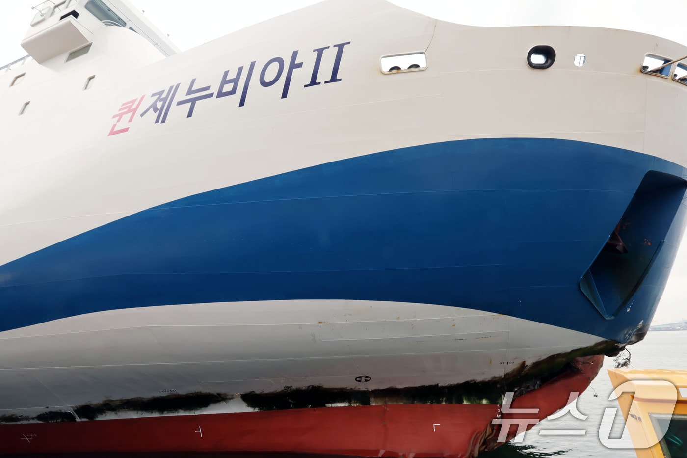 전남 신안 해상에서 좌초된 여객선 퀸제누비아2호가 20일 전남 목포시 산정동 삼학부두에 정박해 있다. 사진은 사고 부위의 모습. 2025.11.20/뉴스1 ⓒ News1 박지현 기자