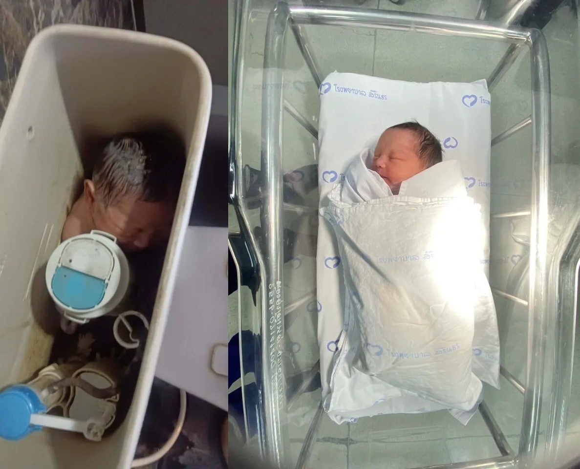 (데일리메일 갈무리)