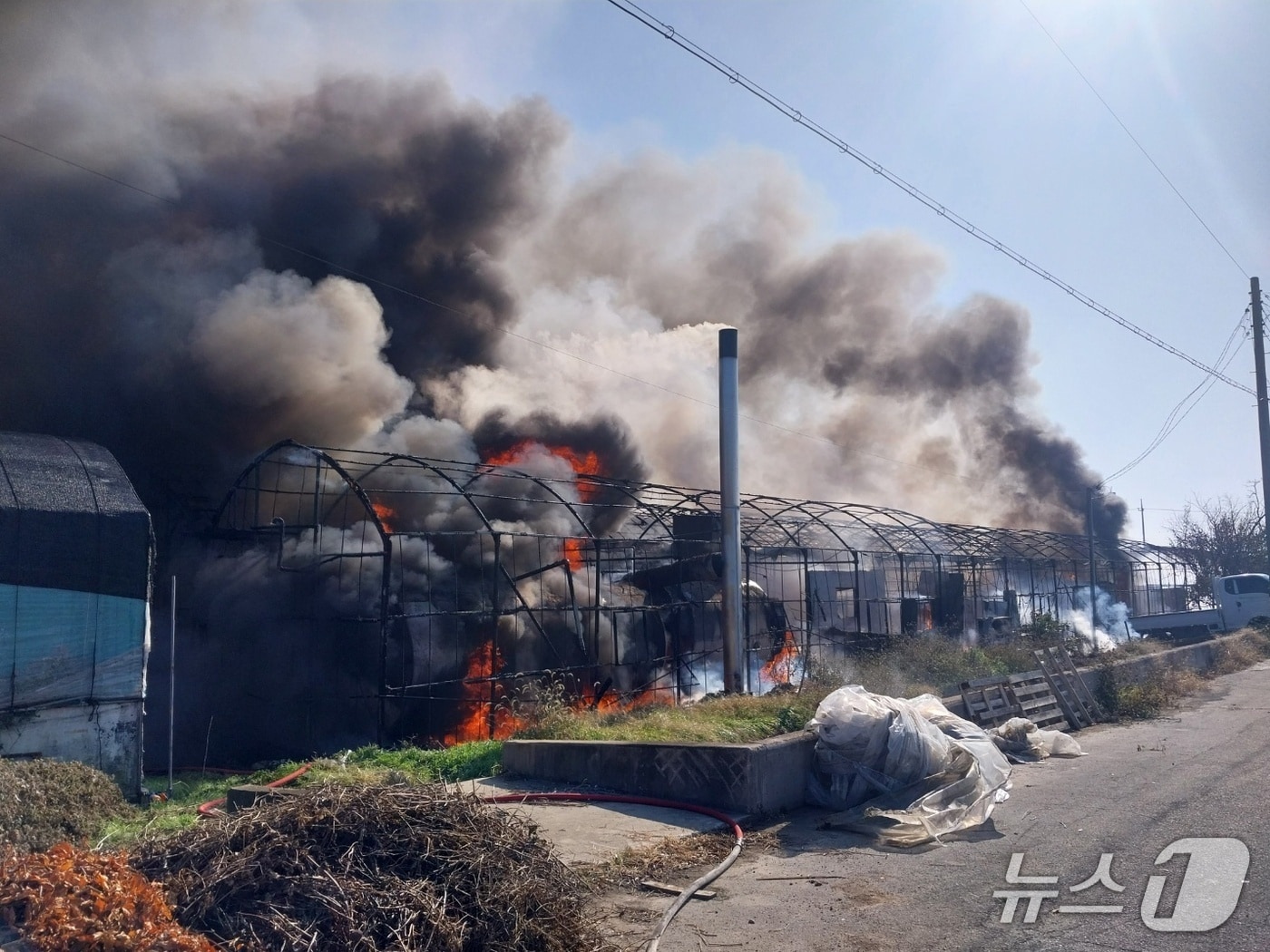 20일 오전 10시 39분쯤 김해시 대동면의 한 비닐하우스에서 불이 났다. 사진은 화재 현장 모습.(경남소방본부 제공. 재판매 및 DB금지)