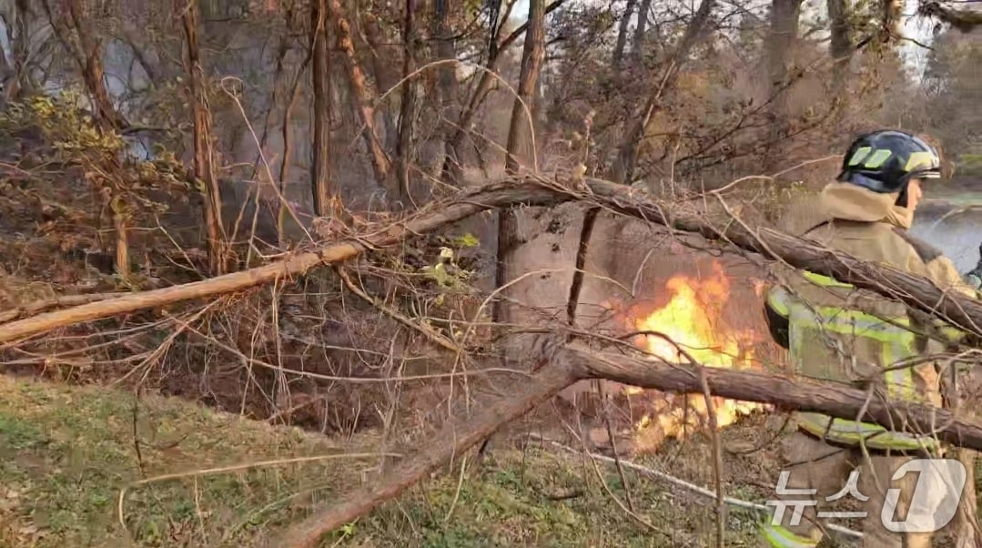 20일 오후 4시 13분쯤 충북 청주시 흥덕구 서촌동 한 야산에서 불이 나 30여 분만에 모두 꺼졌다.(청주서부소방서 제공. 재판매 및 DB금지)/뉴스1