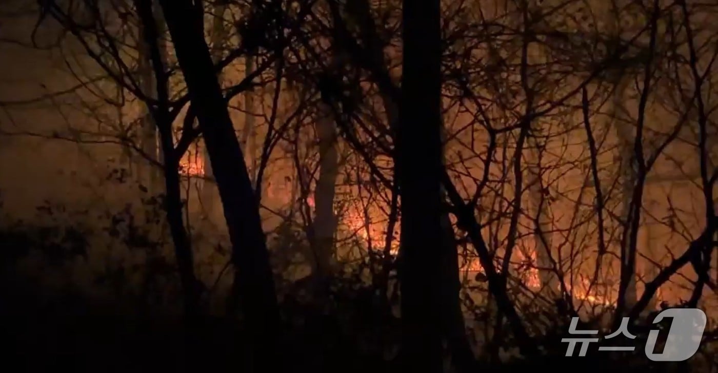  태안 소원면 의향리 산불 현장. (산림청 제공, 재판매 및 DB금지) / 뉴스1
