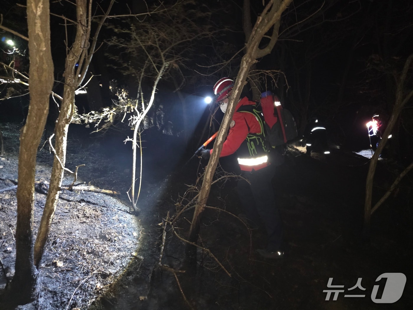 천안 동남구 목천읍 산불 현장. (산림청 제공, 재판매 및 DB금지) / 뉴스1
