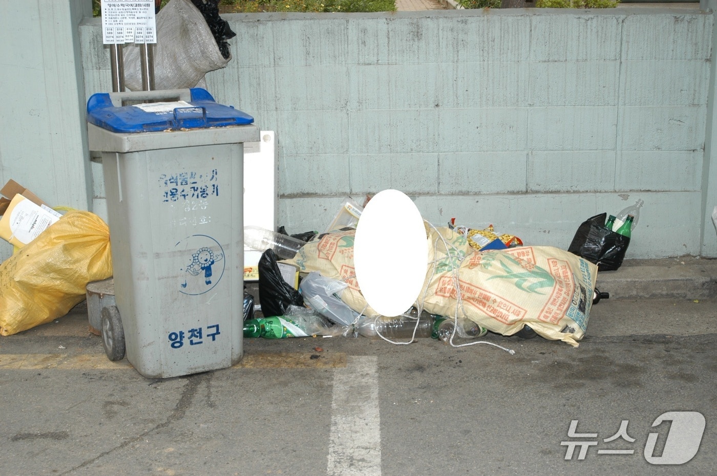 뉴스1 보도 이미지