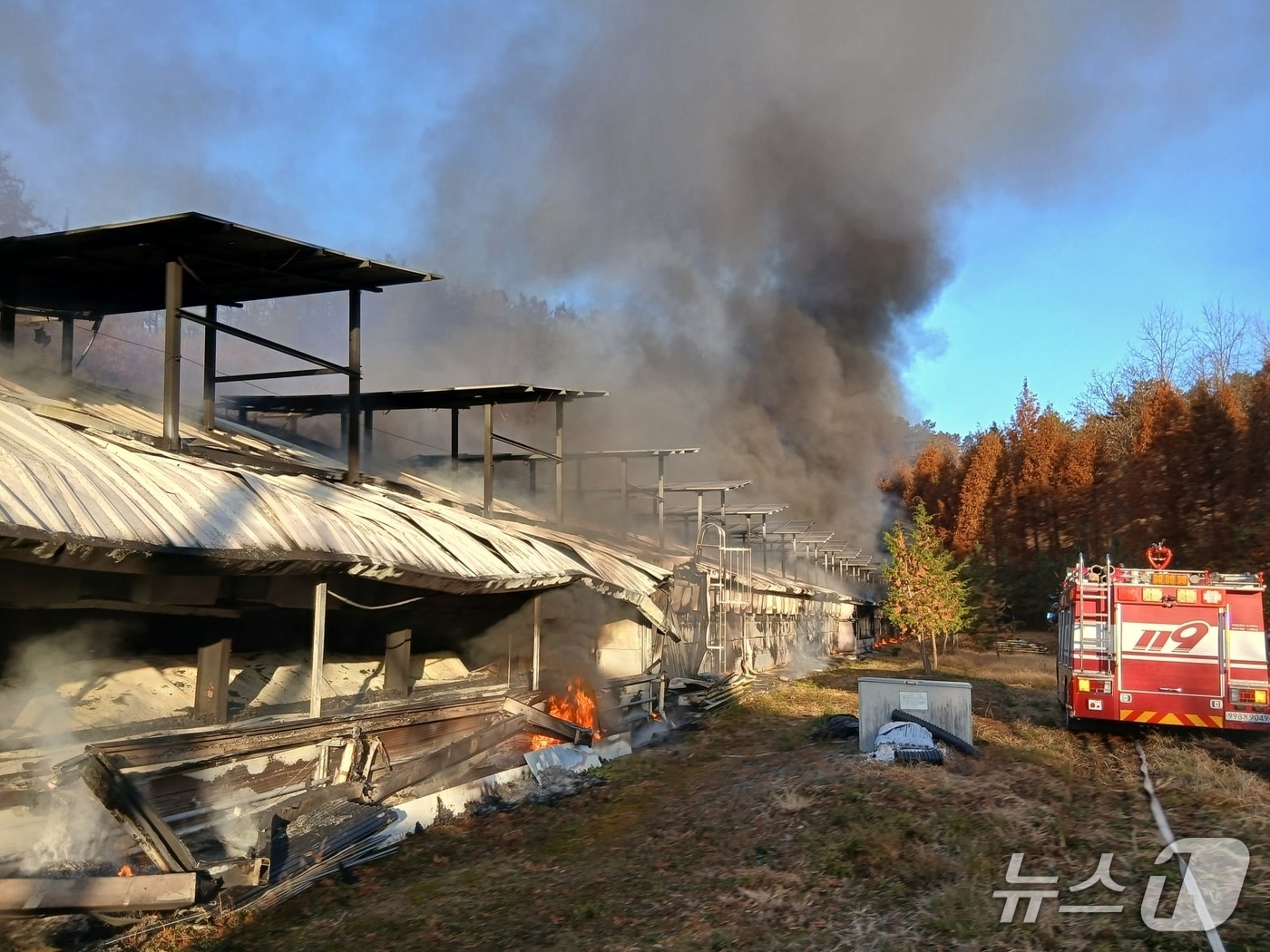 21일 오전 7시 55분쯤 충북 괴산의 한 양계장에서 화재가 발생해 양계장 건물이 불에 타고 있다.(괴산소방서 제공, 재판매 및 DB금지)/뉴스1