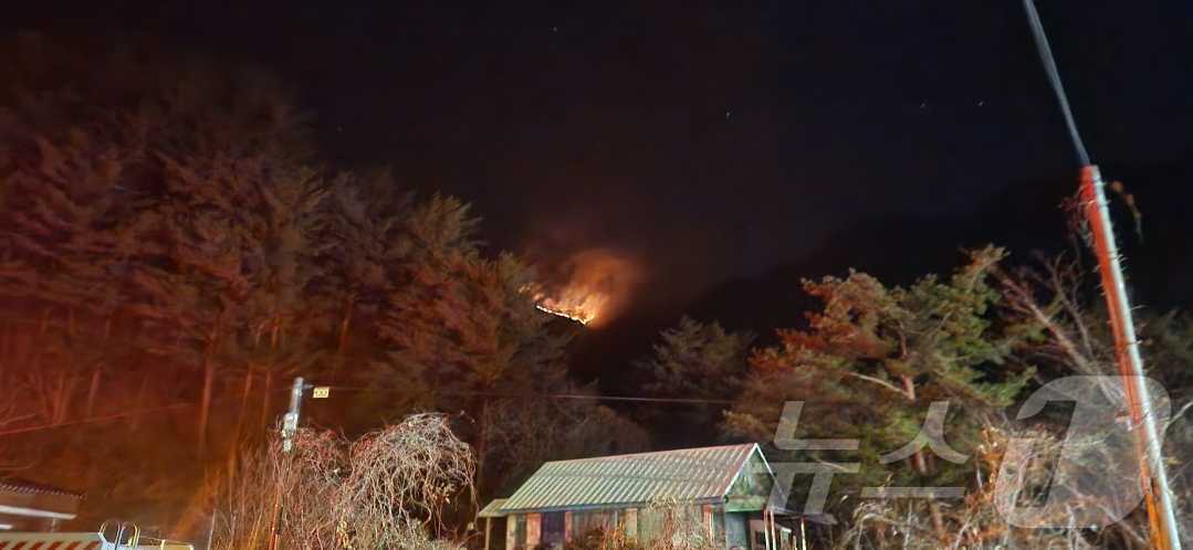 양양 서면 야산 야간 산불 진화 현장 사진