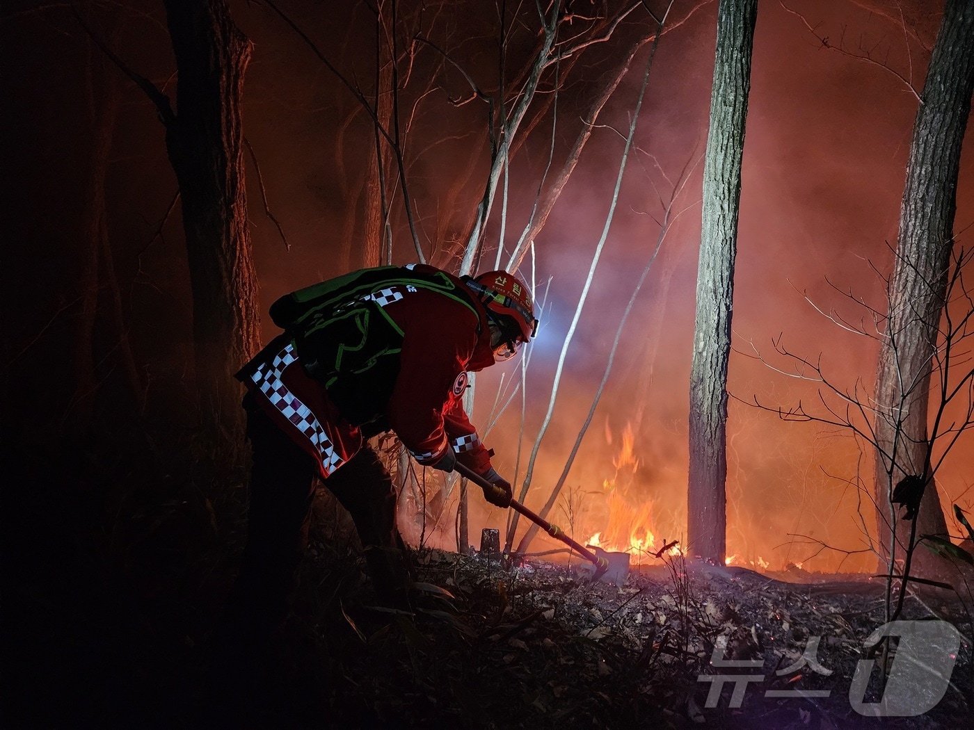 산불 현장 연기와 화선