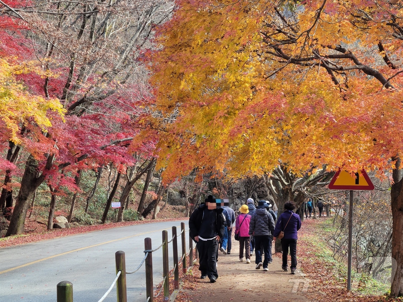 23일 오전 9시께 전북 정읍시 내장산 일대에 나들이객들이 산책로를 걷고 있다. 2025.11.23/뉴스1 문채연 기자