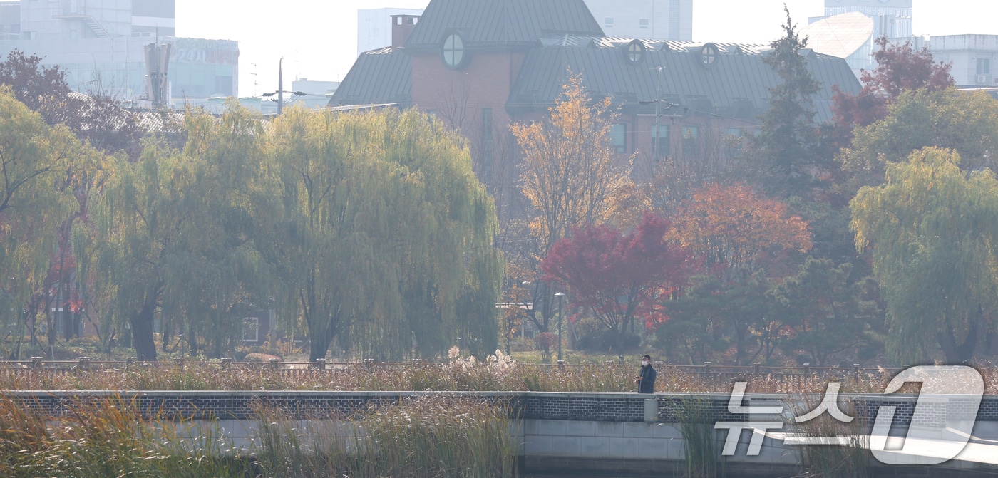 전주지역 초미세먼지 농도가 나쁨 수준을 보인 24일 전북 전주시 덕진공원 일원이 뿌옇게 보이고 있다. 2025.11.24/뉴스1 ⓒ News1 유경석 기자