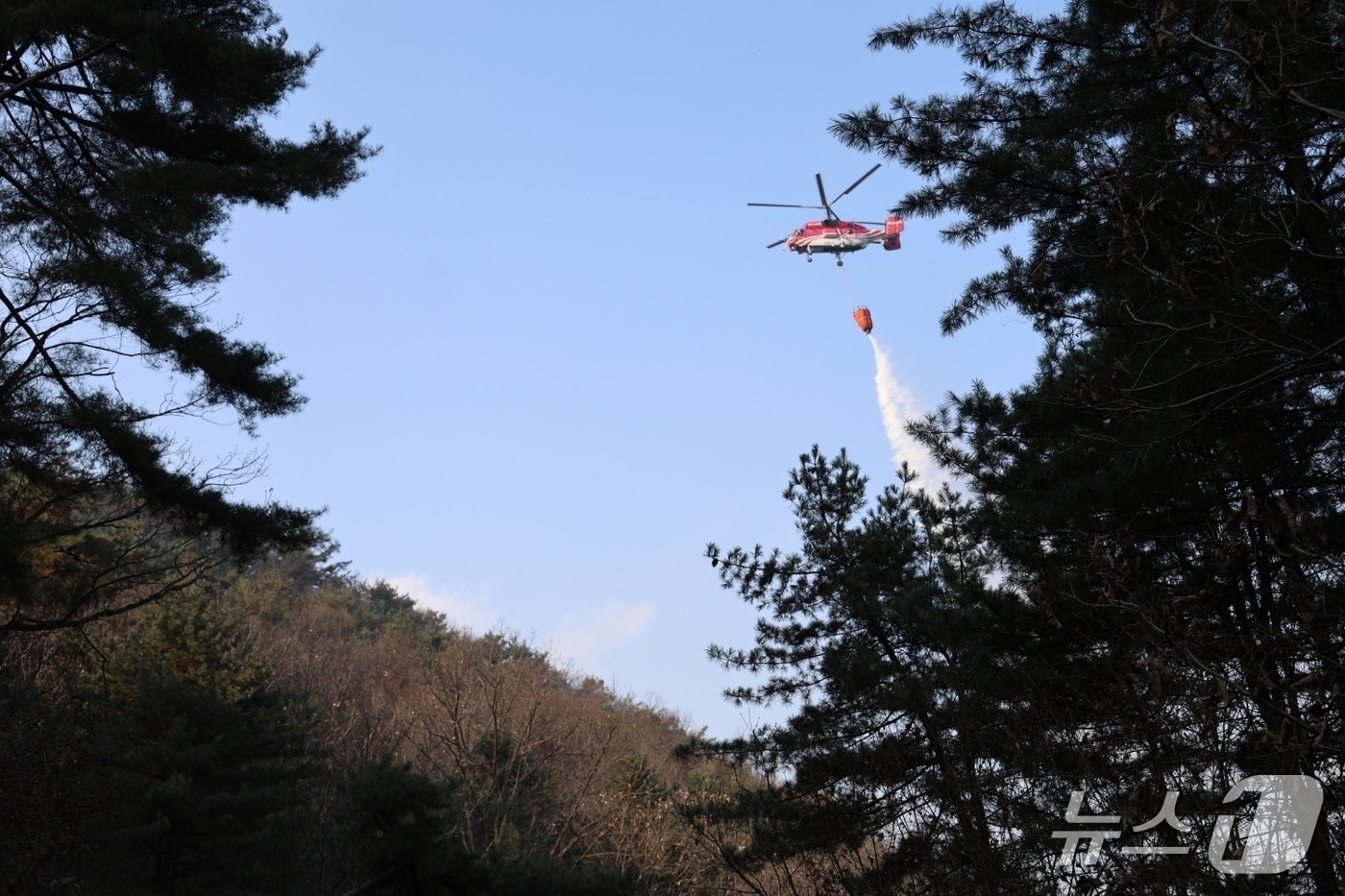 산불진화에 나선 헬기.(단양소방서 제공, 재판매 및 DB금지)/뉴스1   