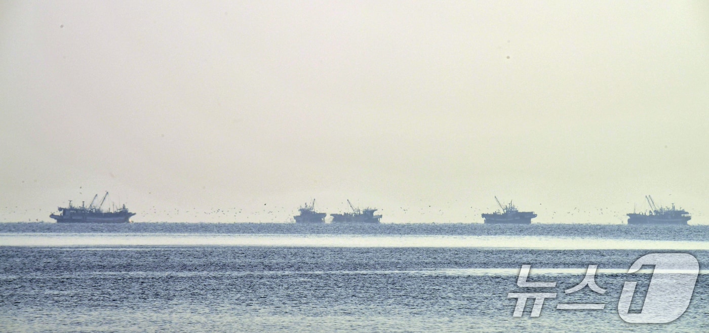 25일 오전 경북 포항시 송도해수욕장 앞 바다에서 멸치잡이 어선들이 작업에 한창이다. 2025.11.25 ⓒ 뉴스1 최창호 기자