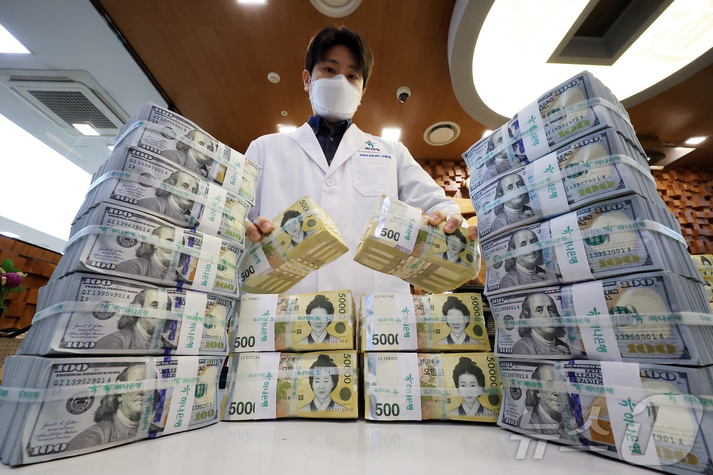 25일 서울 중구 하나은행 위변조대응센터에서 관계자가 원화와 달러화를 정리하는 모습. 2025.11.25/뉴스1 ⓒ News1 김진환 기자