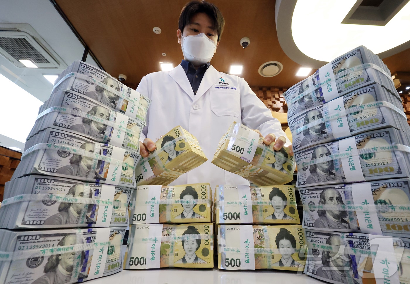 125일 서울 중구 하나은행 위변조대응센터에서 관계자가 원화와 달러화를 정리하는 모습. 2025.11.25/뉴스1 ⓒ News1 김진환 기자