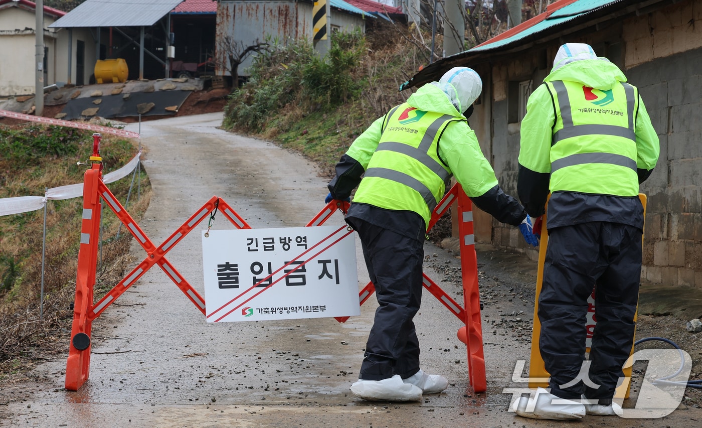 25일 충남 당진 송산면 무수리 한 돼지농장에서 '치사율 100%'(급성형)에 달하는 아프리카돼지열병(ASF)이 발생한 가운데 방역 관계자가 농장 입구에서 출입을 통제하고 있다.  2025.11.25 ⓒ 뉴스1 김기태 기자