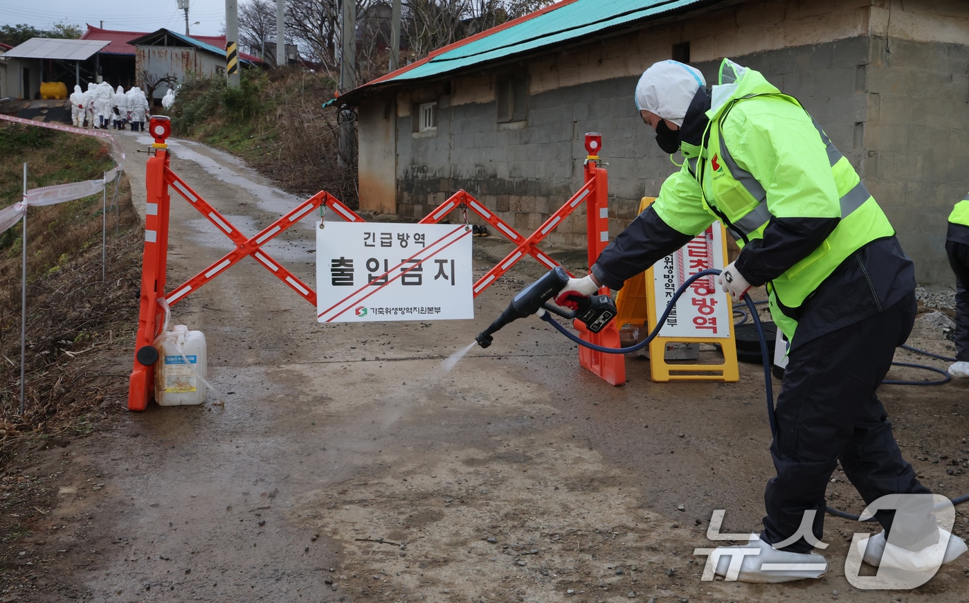 25일  방역 관계자가 농장 입구를 소독하고 있다. 2025.11.25 ⓒ 뉴스1 김기태 기자