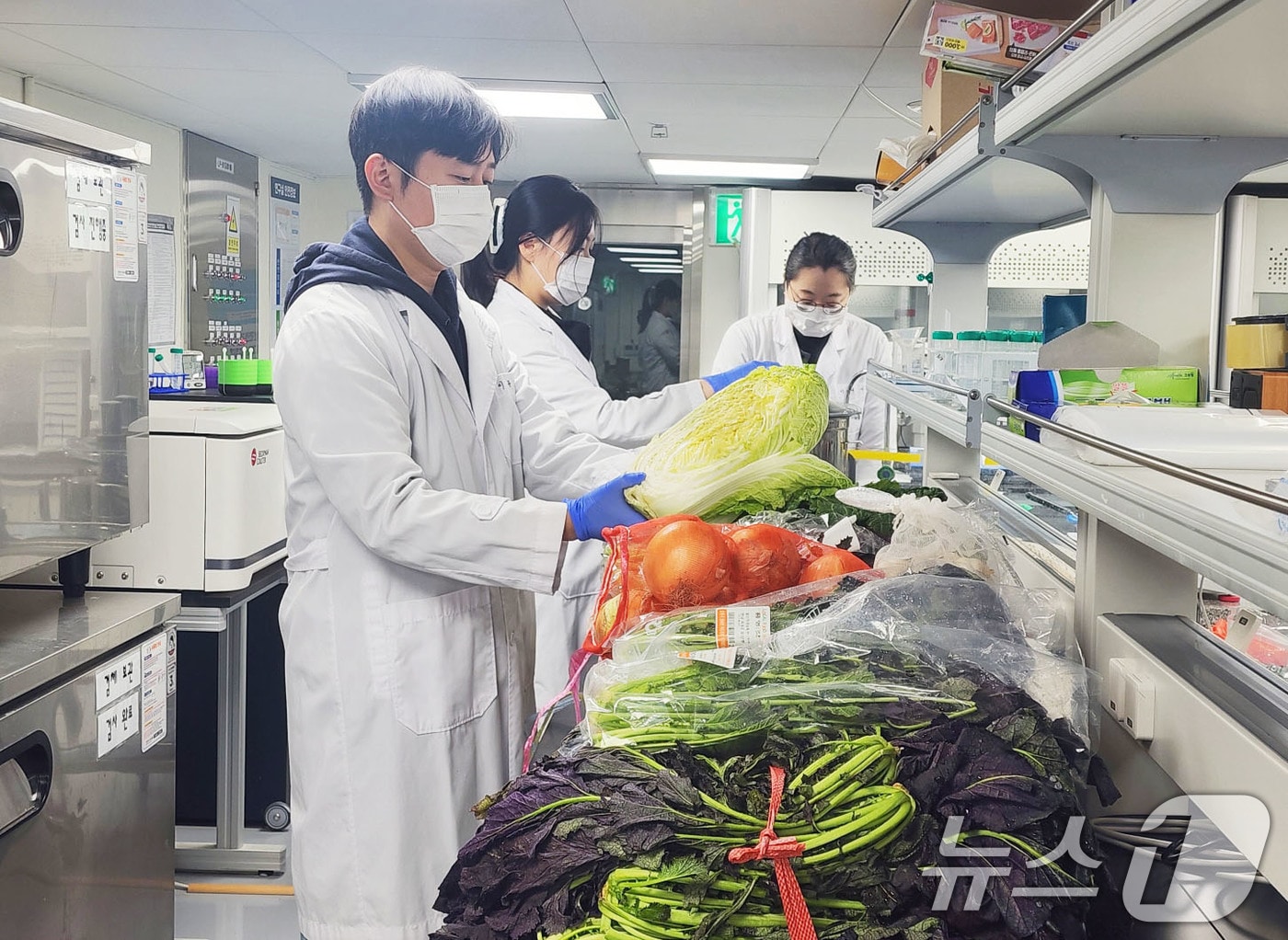 농산물 잔류농약 검사(자료사진)