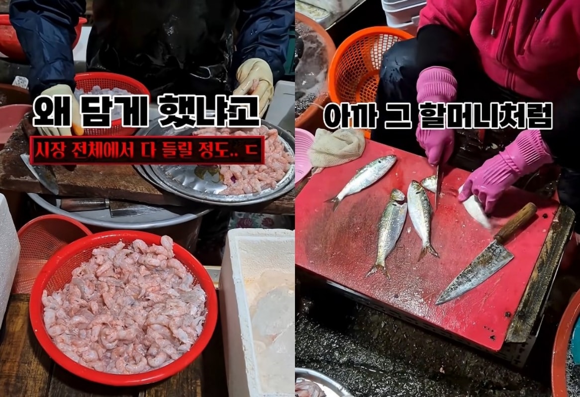 (유튜브 '혼자햐' 갈무리)