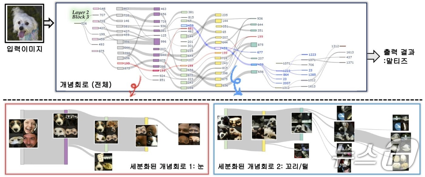 연구팀에서 제안한 개념회로에 대한 개요(KAIST 제공) /뉴스1