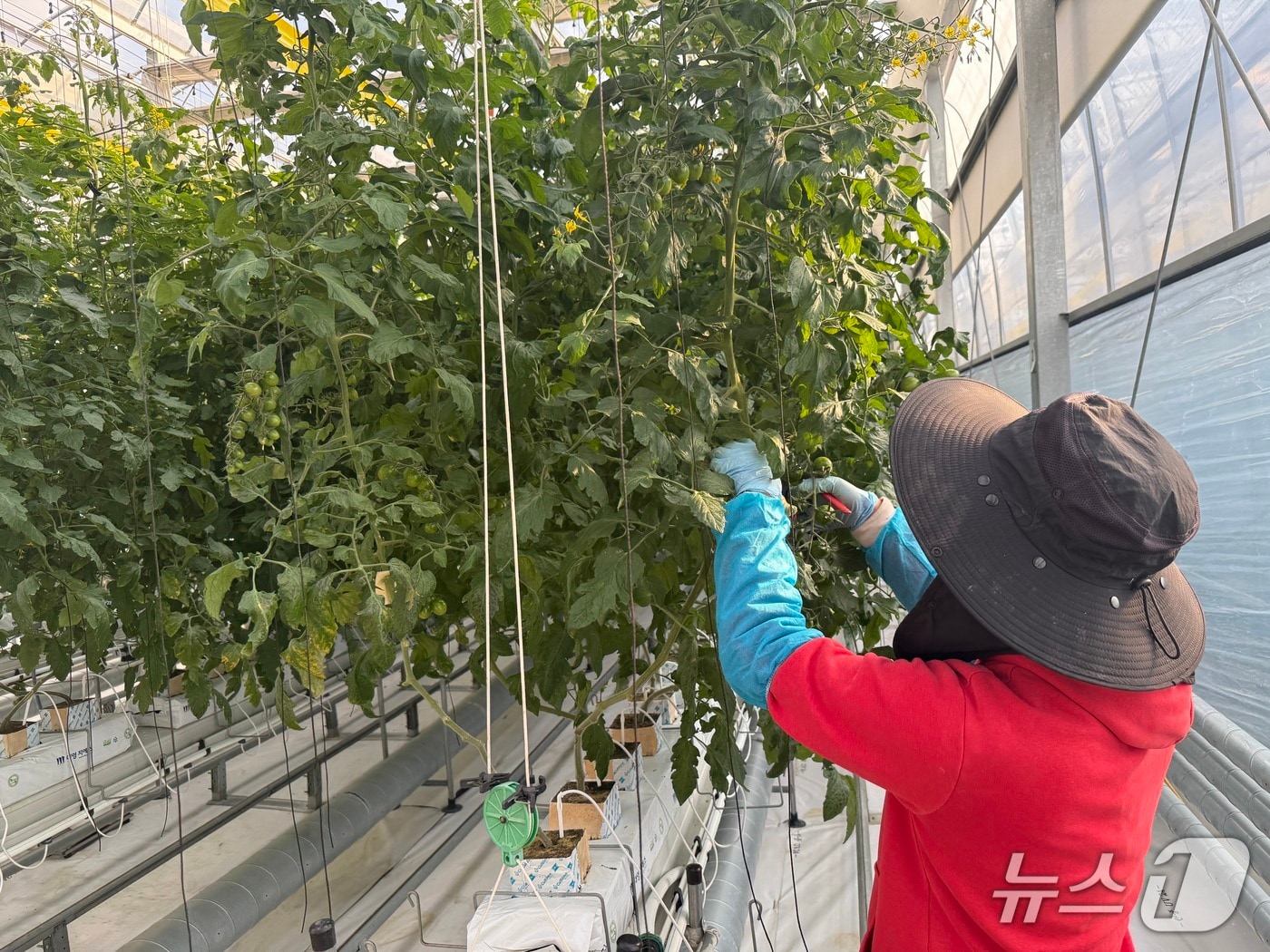 전북 진안군이 청년 농업인을 대상으로 스마트팜 테스트베드 교육장에서 현장 교육 프로그램을 운영한다.&#40;진안군제공, 재판매 및 DB금지&#41;2025.11.26/뉴스1