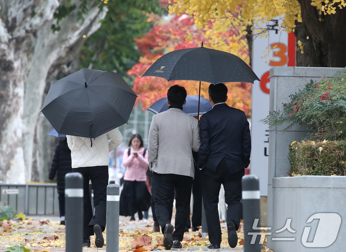 27일 오후 비 내리는 대구 수성구 달구벌대로에서 우산을 쓴 시민들이 낙엽 쌓인 길을 걷고 있다. 2025.11.27/뉴스1 ⓒ News1 공정식 기자