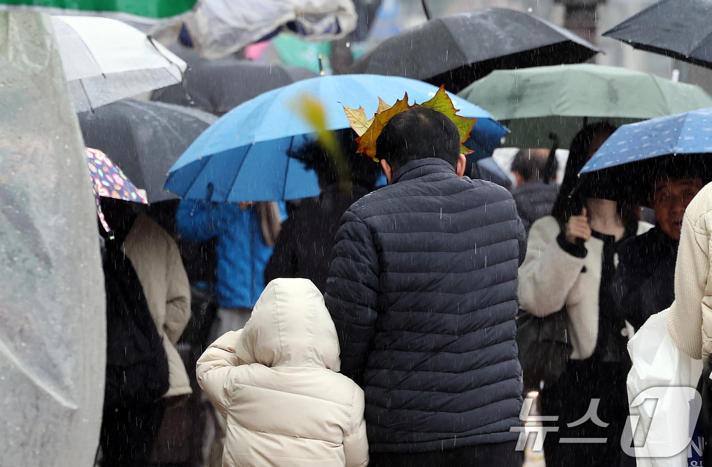 한 조손이 나뭇잎과 손으로 비를 막으며 발걸음을 옮기고 있다. 2025.11.27/뉴스1 ⓒ News1 이호윤 기자