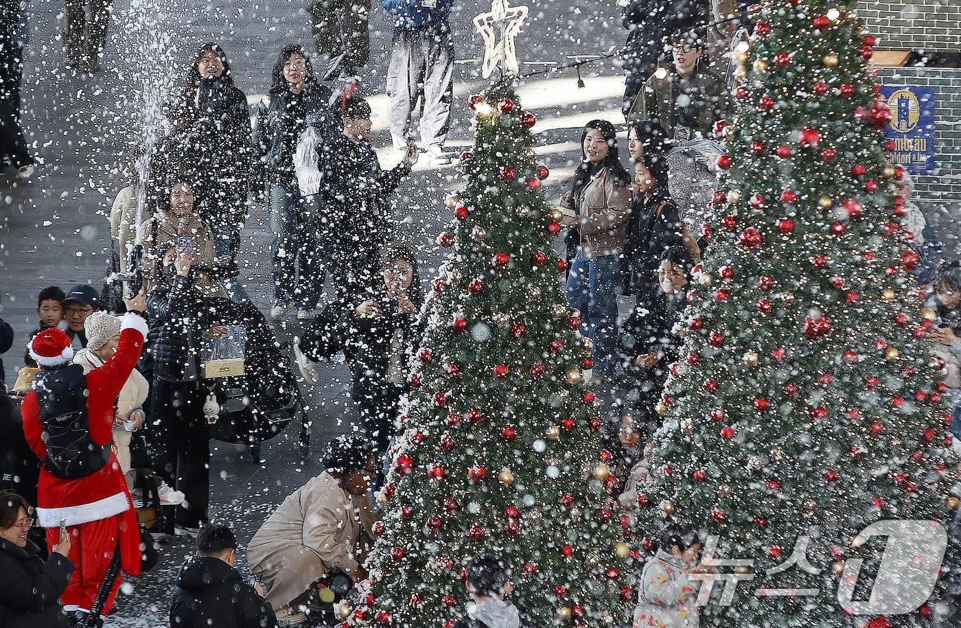 크리스마스 트리 자료사진 ⓒ News1 윤일지 기자