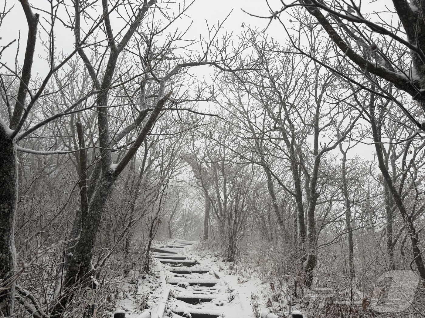  눈이 내린 전북 무주군의 덕유산의 모습.&#40;덕유산국립공원사무소 제공. 재판매 및 DB 금지&#41; 2025.11.27/뉴스1 