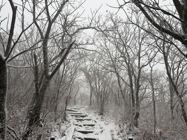 눈이 내린 전북 무주군의 덕유산의 모습.(덕유산국립공원사무소 제공. 재판매 및 DB 금지) 2025.11.27/뉴스1 
