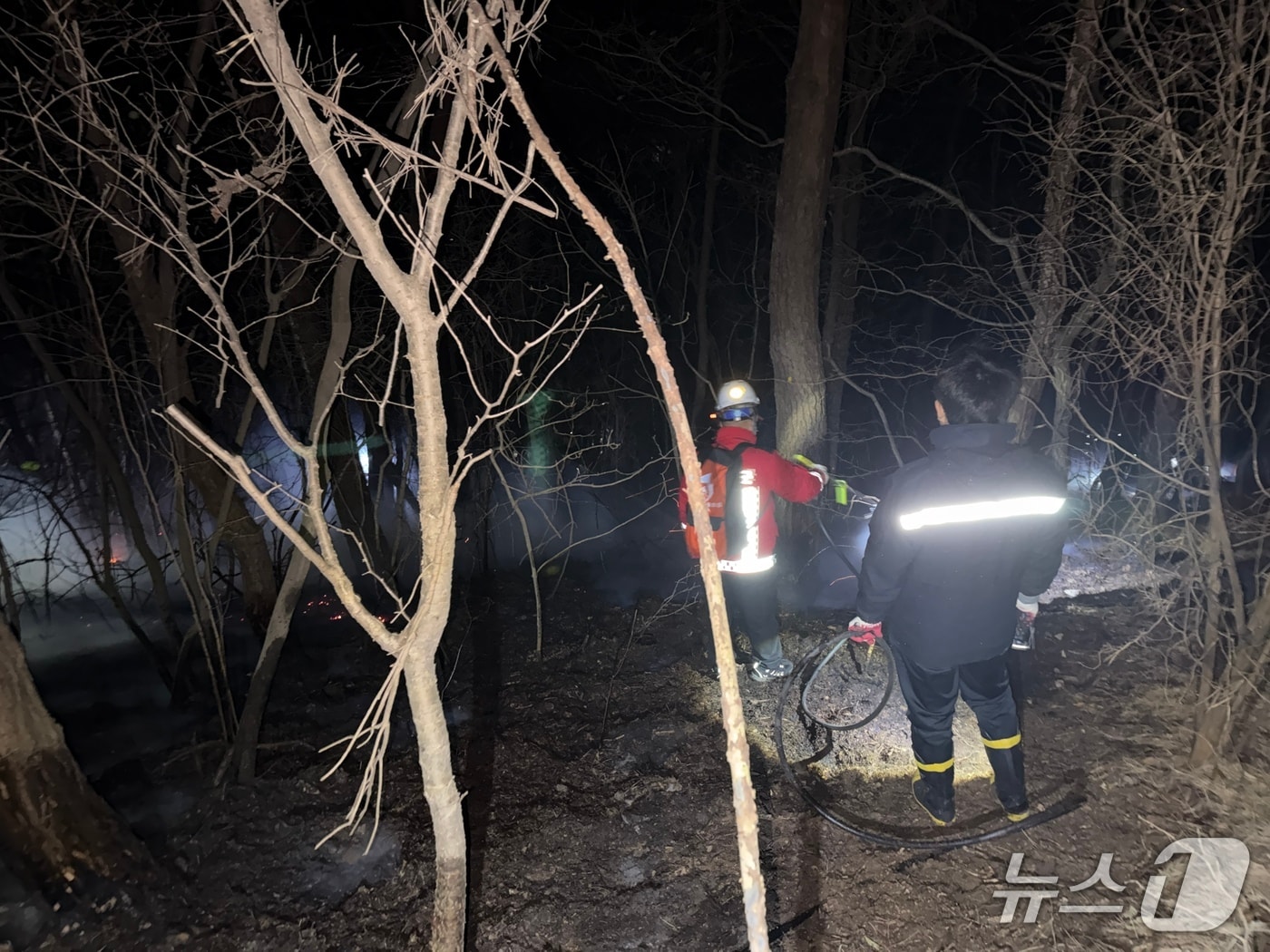  태안 안면읍 승언리 산불 진화 현장. (산림청 제공, 재판매 및 DB금지) / 뉴스1