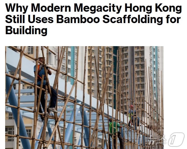 해당 기사 - 블룸버그 갈무리