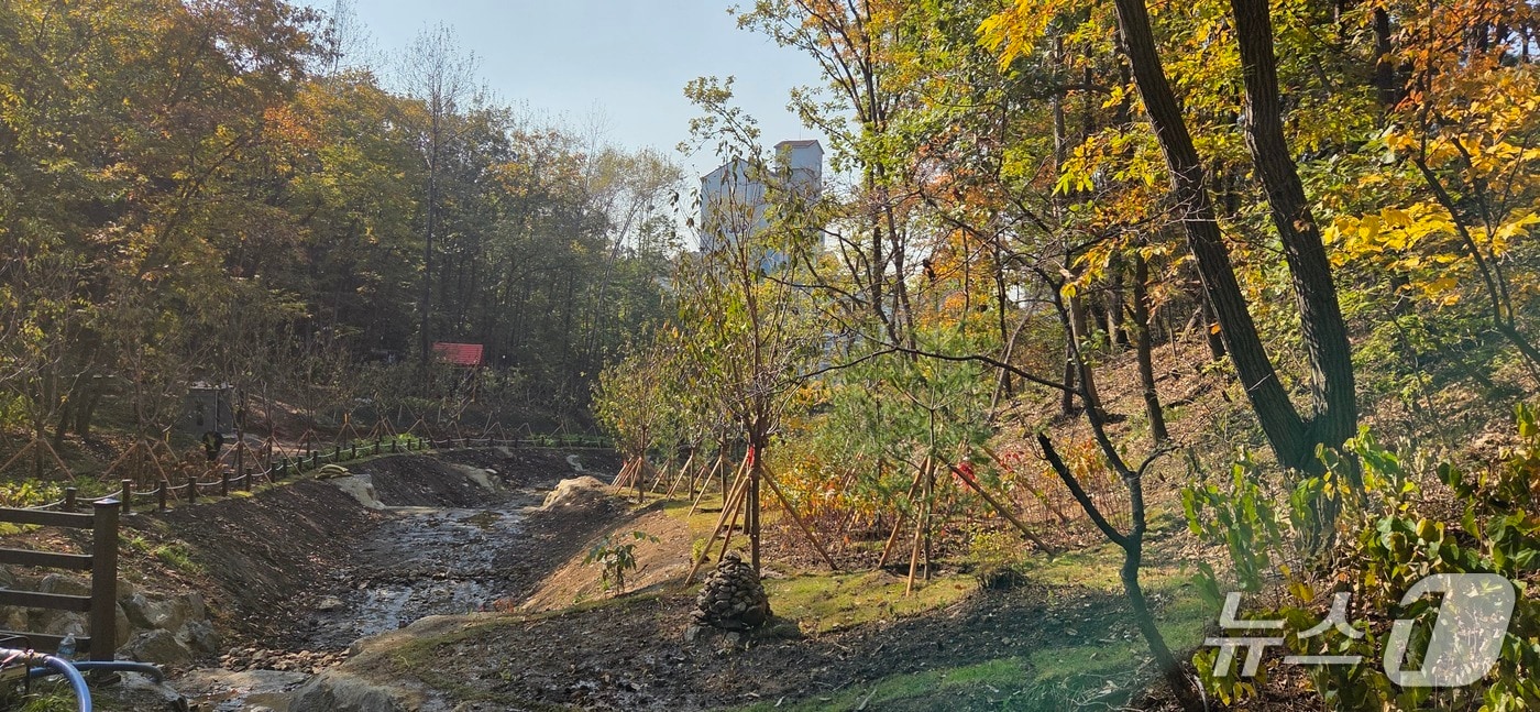 용인시가 수지구 죽전동 대지산에 조성한 '도시 숲' 모습.(용인시 제공)