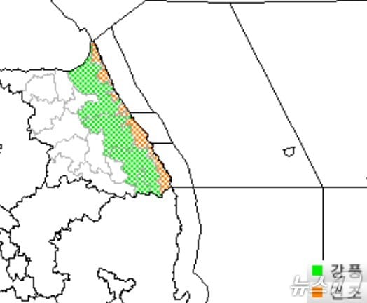 기상청의 강원지역 특보 발효 현황 그래픽. (기상청 홈페이지 갈무리. 재판매 및 DB금지) 2025.11.29/뉴스1