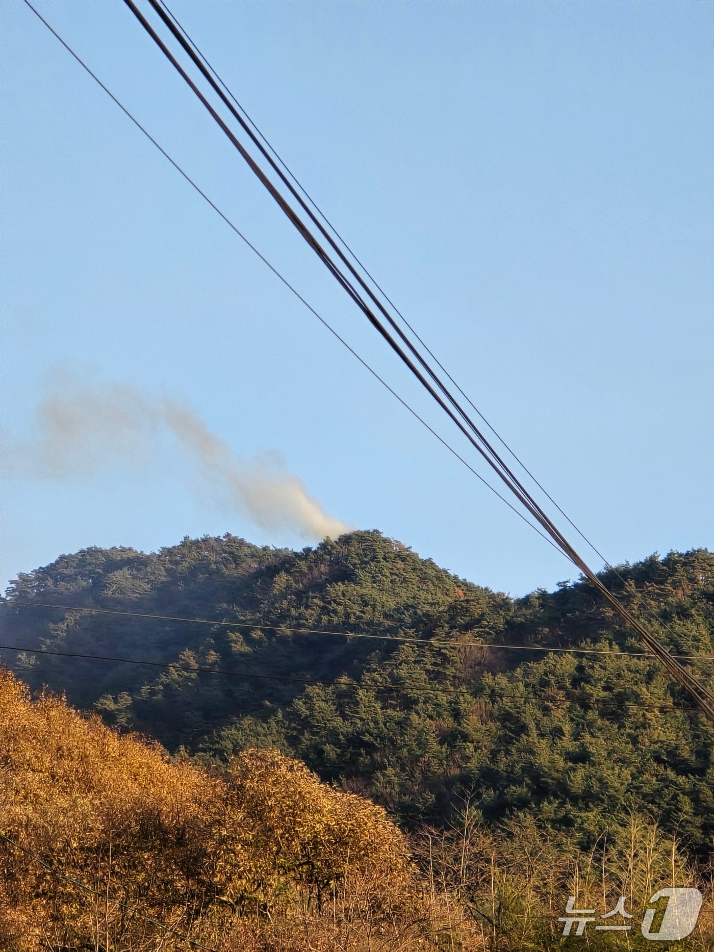 순창군 동계면 내령리 야산에서 불이 나 산림당국이 진화에 나서고 있다.(산림청 제공. 재판매 및 DB금지)
