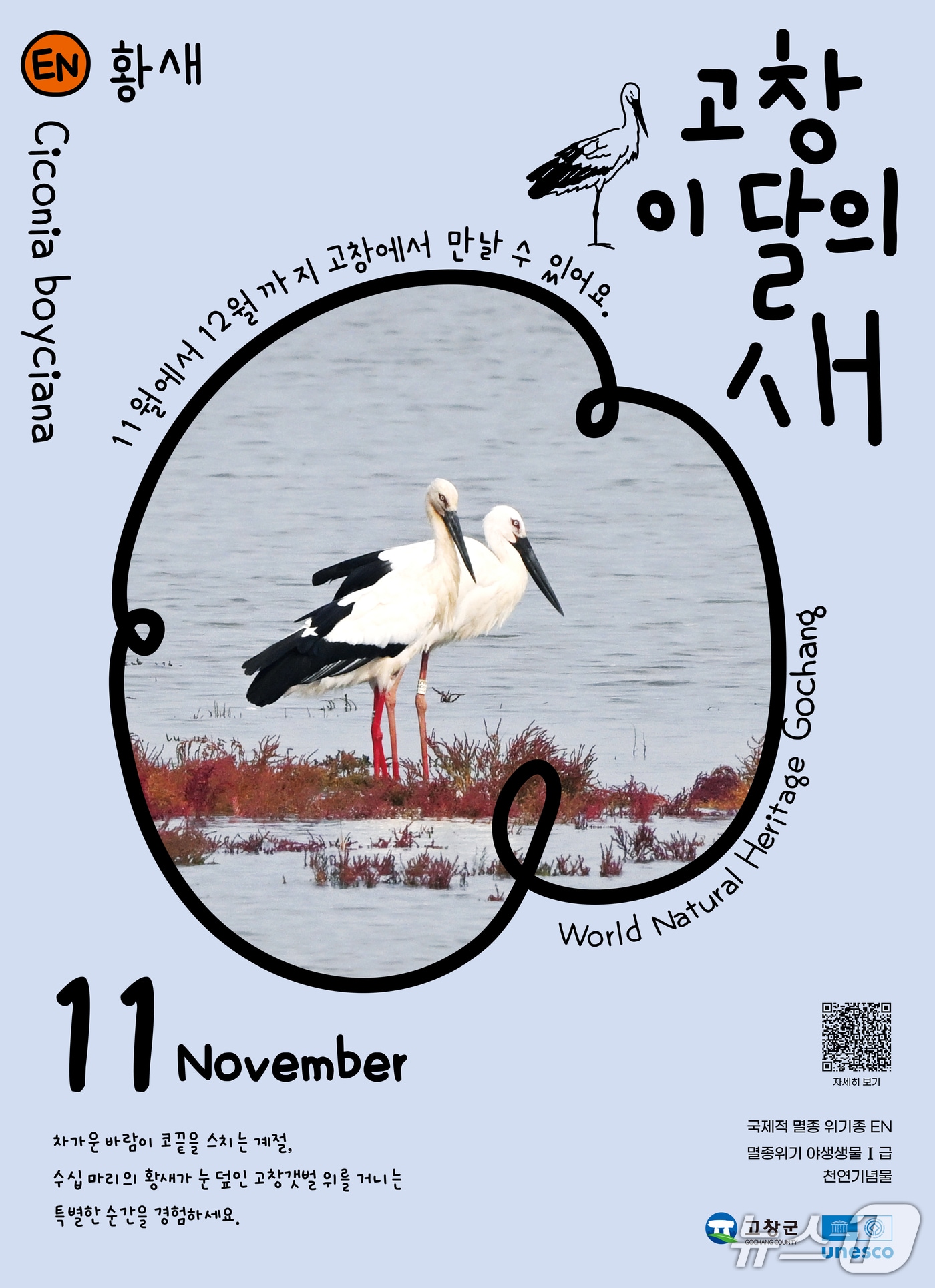 전북 고창군이 11월 '고창갯벌 이달의 새'로 멸종위기 철새인 황새를 선정했다.(고창군제공. 재판매 및 DB금지)2025.11.3/뉴스1