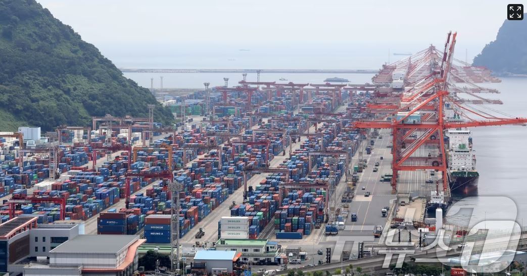 부산항 신선대부두 야적장에 컨테이너가 가득 쌓여 있는 모습. 2025.8.11/뉴스1 ⓒ News1 윤일지 기자