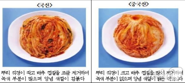 김장철 배추김치 원산지 식별 방법.(국립농산물품질관리원 경북지원 제공. 재판매 및 DB금지)