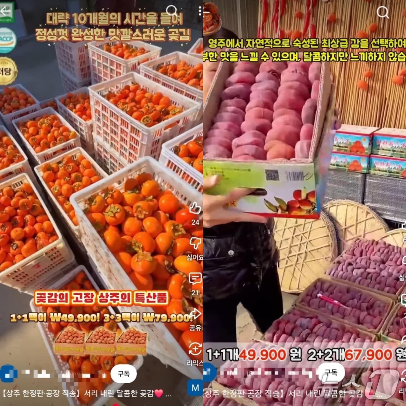 중국에서 판매하는 상주곶감 사기 광고(유튜브 캡쳐)2025.11.3/뉴스1
