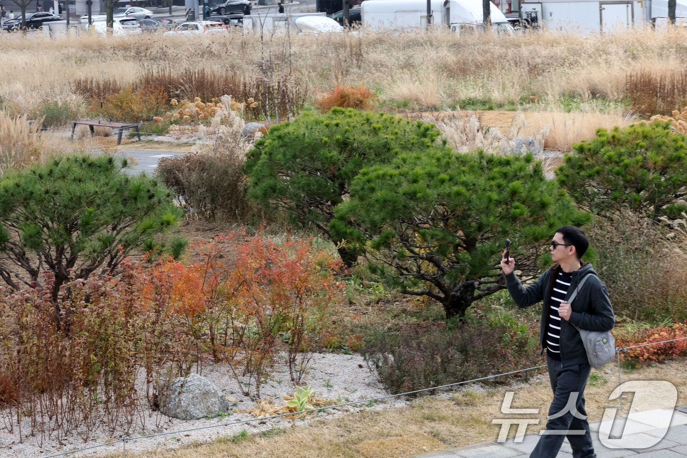 포근한 늦가을 날씨를 보인 30일 오후 서울 종로구 열린송현 녹지광장을 찾은 관광객이 여유로운 시간을 보내고 있다. 2025.11.30/뉴스1 ⓒ News1 이광호 기자