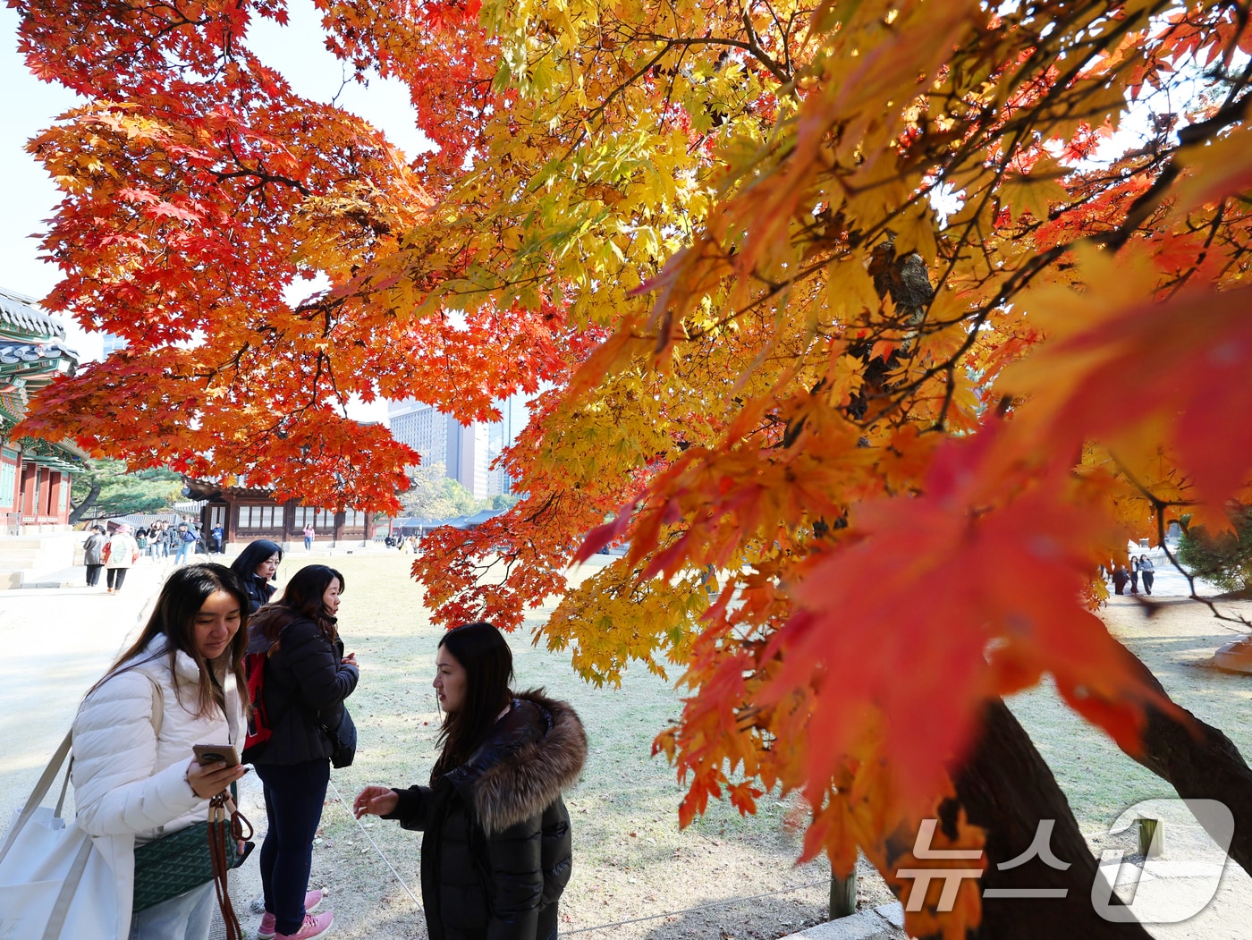 서울 중구 덕수궁에서 외국인 관광객과 시민들이 단풍과 함께 즐거운 시간을 보내고 있다. 2025.11.4/뉴스1 ⓒ News1 황기선 기자