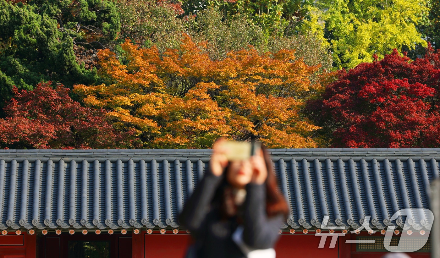 완연한 가을 날씨. 2025.11.4/뉴스1 ⓒ News1 황기선 기자