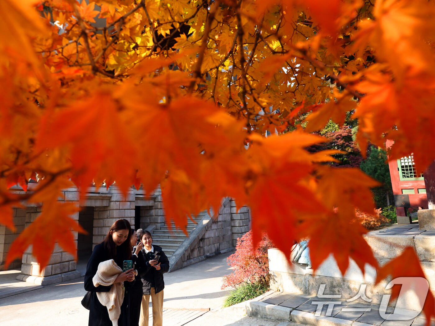 서울 중구 덕수궁에서 외국인 관광객과 시민들이 단풍과 함께 즐거운 시간을 보내고 있다. ⓒ News1 황기선 기자&#40;사진은 기사 내용과 무관함&#41;