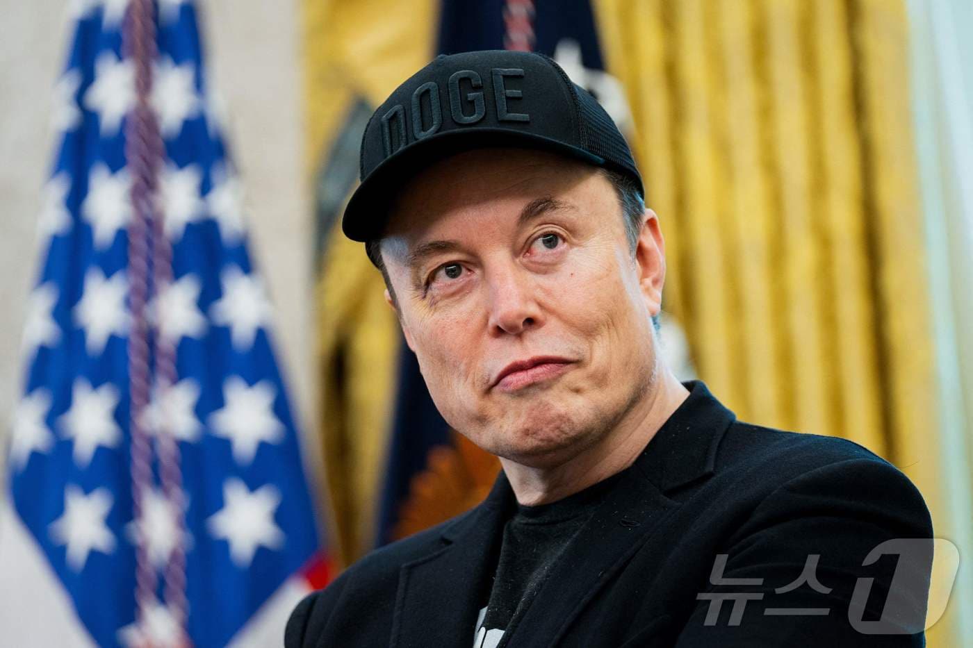 Elon Musk urges Vote Cuomo