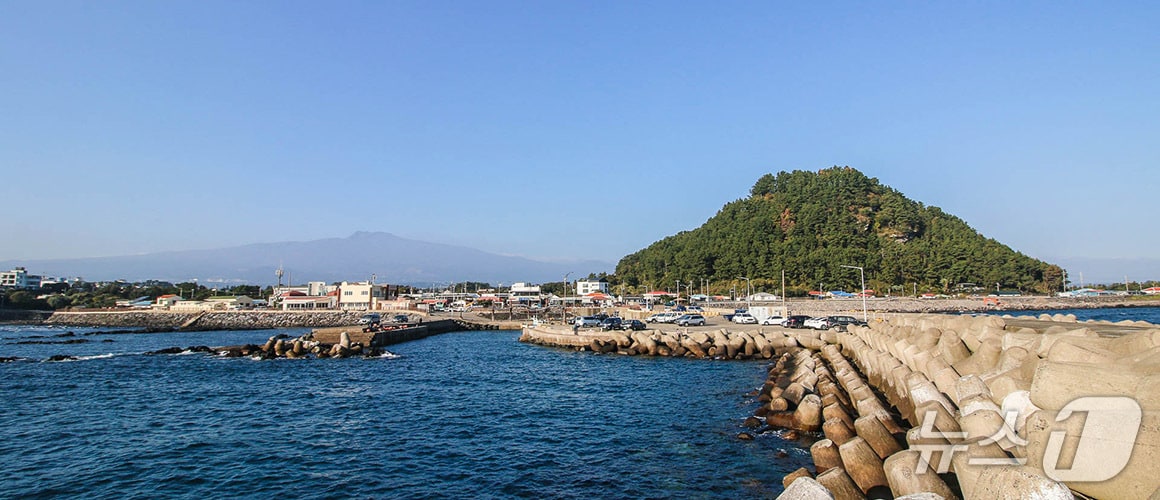 서귀포시 보목동 보목포구.(비짓제주 홈페이지 갈무리)