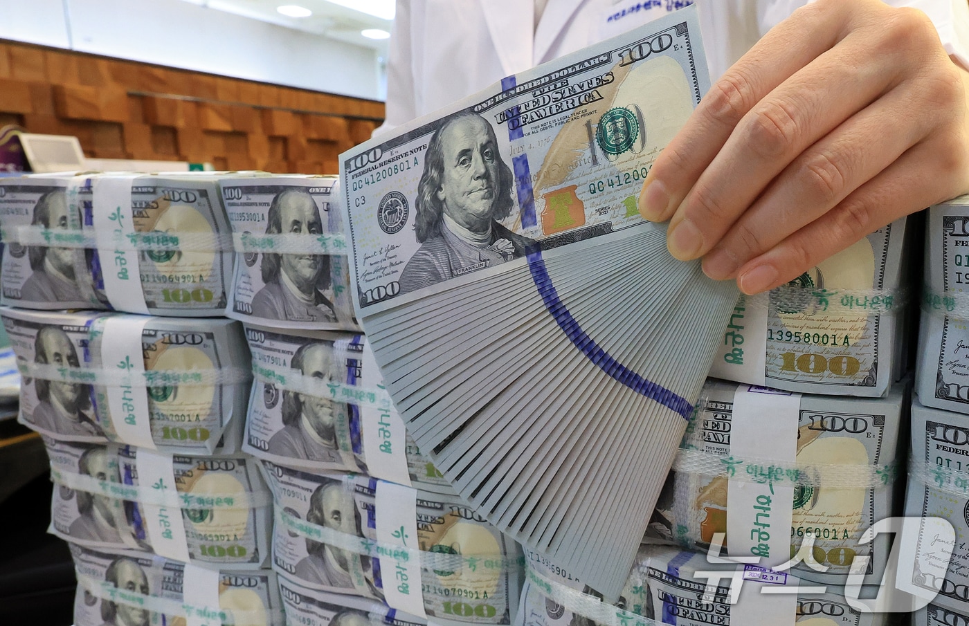 서울 중구 하나은행 위변조대응센터에 놓인 달러화. 2025.11.5/뉴스1 ⓒ News1 이호윤 기자