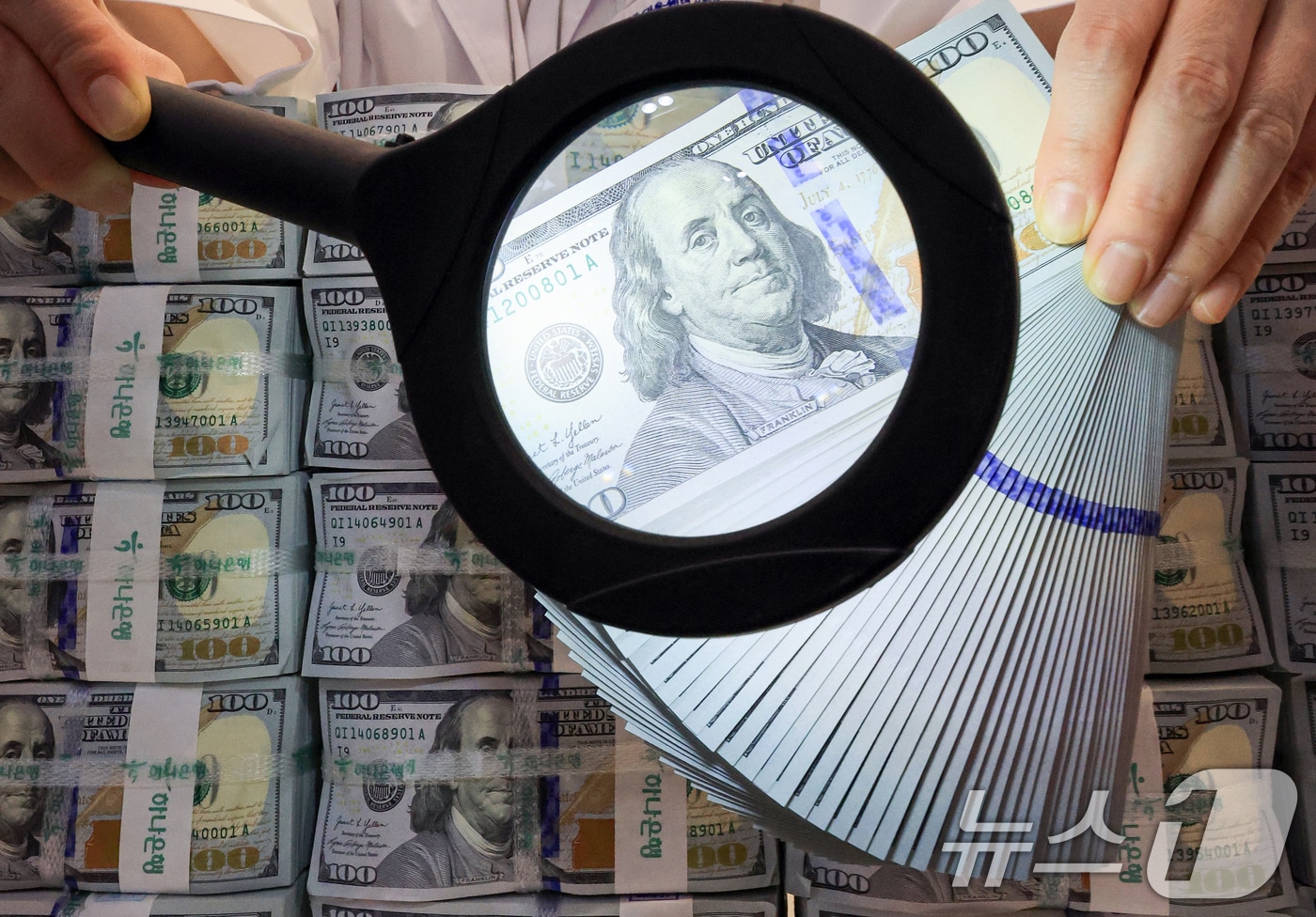 서울 중구 하나은행 위변조대응센터에 놓인 달러화. 2025.11.5/뉴스1 ⓒ News1 이호윤 기자