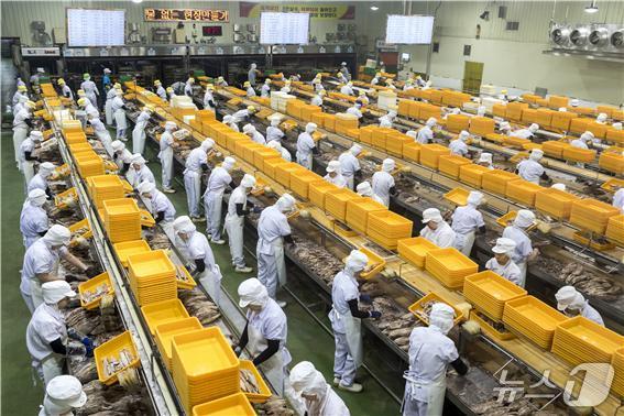 참치통조림이 생산되는 모습 &#40;수과원 제공. 재판매 및 DB 금지&#41;