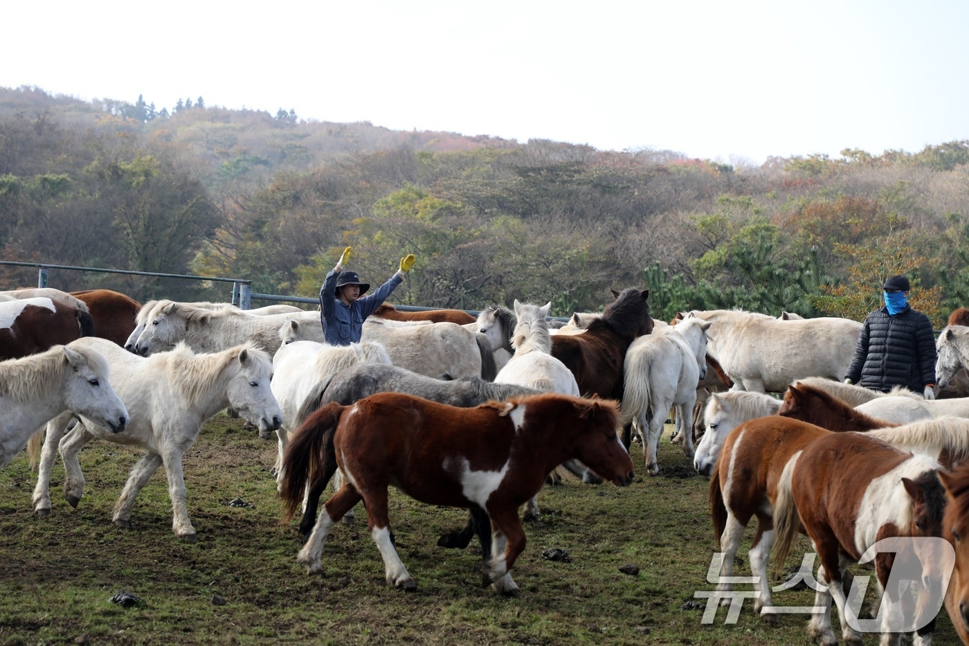 자료사진.ⓒ 뉴스1 고동명 기자