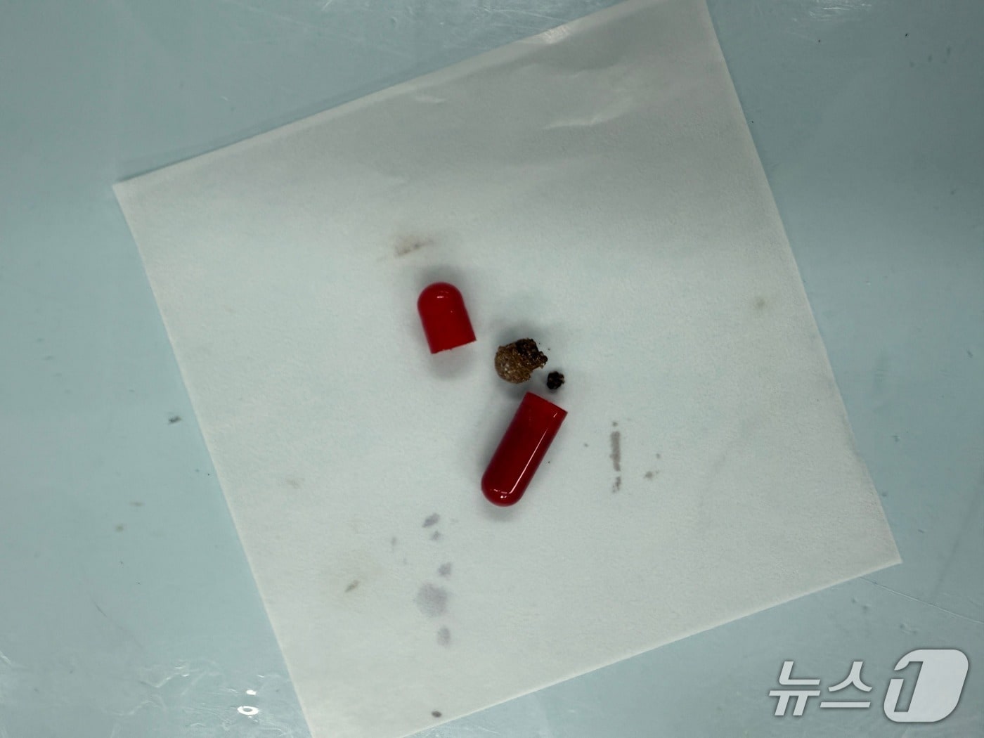 미국발 특송화물에서 발견된 마약류.(인천공항본부세관 제공. 재배포 및 DB금지)2025.11.6/뉴스1